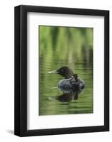 Sitting Pretty-Orah Moore-Framed Art Print