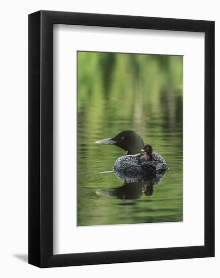 Sitting Pretty-Orah Moore-Framed Art Print