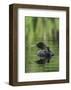 Sitting Pretty-Orah Moore-Framed Art Print