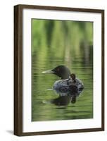 Sitting Pretty-Orah Moore-Framed Art Print