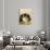 Sitting Pretty-Henriette Ronner-Knip-Giclee Print displayed on a wall