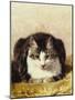 Sitting Pretty-Henriette Ronner-Knip-Mounted Giclee Print