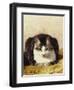 Sitting Pretty-Henriette Ronner-Knip-Framed Giclee Print