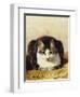 Sitting Pretty-Henriette Ronner-Knip-Framed Giclee Print