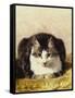 Sitting Pretty-Henriette Ronner-Knip-Framed Stretched Canvas