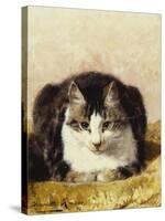 Sitting Pretty-Henriette Ronner-Knip-Stretched Canvas