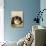 Sitting Pretty-Henriette Ronner-Knip-Stretched Canvas displayed on a wall