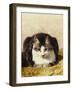 Sitting Pretty-Henriette Ronner-Knip-Framed Giclee Print