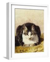 Sitting Pretty-Henriette Ronner-Knip-Framed Giclee Print