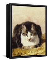 Sitting Pretty-Henriette Ronner-Knip-Framed Stretched Canvas