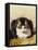 Sitting Pretty-Henriette Ronner-Knip-Framed Stretched Canvas