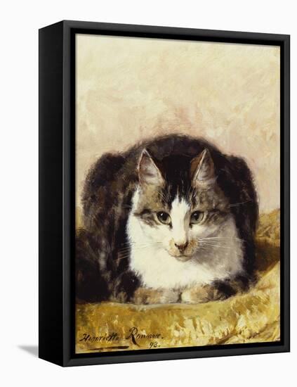 Sitting Pretty-Henriette Ronner-Knip-Framed Stretched Canvas
