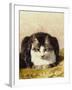 Sitting Pretty-Henriette Ronner-Knip-Framed Giclee Print