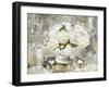 Sitting Room Roses-Mindy Sommers-Framed Giclee Print