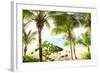 Sitting Under the Palms-Susan Bryant-Framed Photo