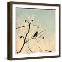 Sitting-Andrew Michaels-Framed Art Print