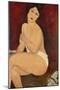 Sitzender Akt Auf Einem Diwan (Oder: La Belle Romaine), 1917-Amedeo Modigliani-Mounted Giclee Print