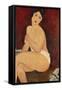 Sitzender Akt Auf Einem Diwan (Oder: La Belle Romaine), 1917-Amedeo Modigliani-Framed Stretched Canvas