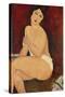 Sitzender Akt Auf Einem Diwan (Oder: La Belle Romaine), 1917-Amedeo Modigliani-Stretched Canvas