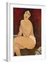 Sitzender Akt Auf Einem Diwan (Oder: La Belle Romaine), 1917-Amedeo Modigliani-Framed Giclee Print