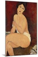 Sitzender Akt auf einem Diwan (oder: La belle Romaine). 1917-Amadeo Modigliani-Mounted Giclee Print