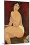 Sitzender Akt auf einem Diwan (oder: La belle Romaine). 1917-Amadeo Modigliani-Mounted Giclee Print