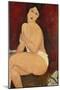 Sitzender Akt auf einem Diwan (oder: La belle Romaine). 1917-Amadeo Modigliani-Mounted Giclee Print