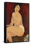 Sitzender Akt auf einem Diwan (oder: La belle Romaine). 1917-Amadeo Modigliani-Framed Stretched Canvas