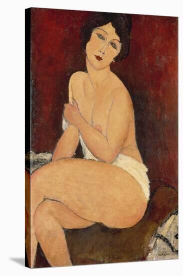 Sitzender Akt auf einem Diwan (oder: La belle Romaine). 1917-Amadeo Modigliani-Stretched Canvas