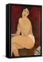 Sitzender Akt auf einem Diwan (oder: La belle Romaine). 1917-Amadeo Modigliani-Framed Stretched Canvas