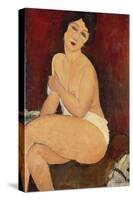 Sitzender Akt auf einem Diwan (oder: La belle Romaine). 1917-Amadeo Modigliani-Stretched Canvas