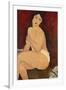 Sitzender Akt auf einem Diwan (oder: La belle Romaine). 1917-Amadeo Modigliani-Framed Giclee Print