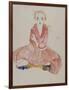 Sitzendes Maedchen, 1911-Egon Schiele-Framed Giclee Print