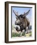 Sivatherium-null-Framed Photographic Print