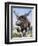 Sivatherium-null-Framed Photographic Print