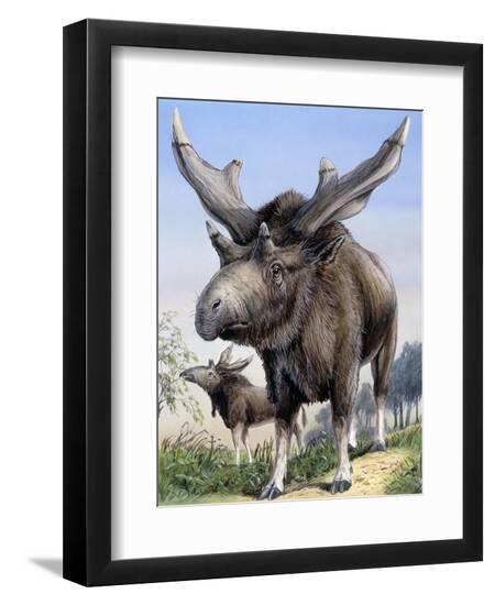 Premium Photographic Print, , large