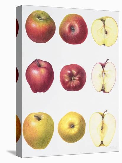 Six Apples, 1996-Margaret Ann Eden-Stretched Canvas