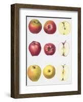 Six Apples, 1996-Margaret Ann Eden-Framed Giclee Print