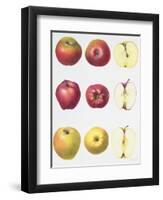 Six Apples, 1996-Margaret Ann Eden-Framed Giclee Print
