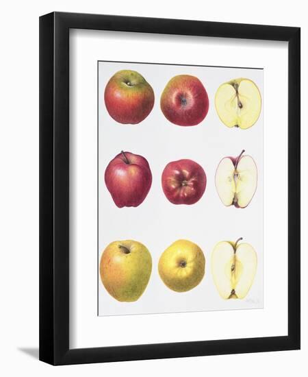 Six Apples, 1996-Margaret Ann Eden-Framed Giclee Print