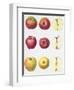 Six Apples, 1996-Margaret Ann Eden-Framed Giclee Print