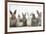 Six Baby Rabbits in Line-Mark Taylor-Framed Photographic Print