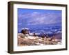 Six Bighorn Rams, Whiskey Mountain, Wyoming, USA-Howie Garber-Framed Premium Photographic Print