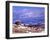 Six Bighorn Rams, Whiskey Mountain, Wyoming, USA-Howie Garber-Framed Premium Photographic Print