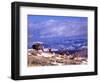 Six Bighorn Rams, Whiskey Mountain, Wyoming, USA-Howie Garber-Framed Photographic Print