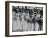 Six Bridesmaids Pose Together in White Organdy Gowns For Elizabeth Taylor and Nicky Hilton Wedding-Ed Clark-Framed Photographic Print