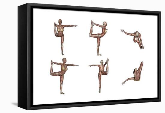 Six Different Views of Dancer Yoga Pose Showing Female Musculature-null-Framed Stretched Canvas