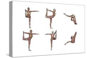 Six Different Views of Dancer Yoga Pose Showing Female Musculature-null-Stretched Canvas