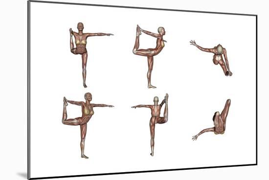 Six Different Views of Dancer Yoga Pose Showing Female Musculature-null-Mounted Premium Giclee Print