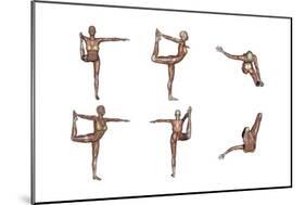 Six Different Views of Dancer Yoga Pose Showing Female Musculature-null-Mounted Premium Giclee Print